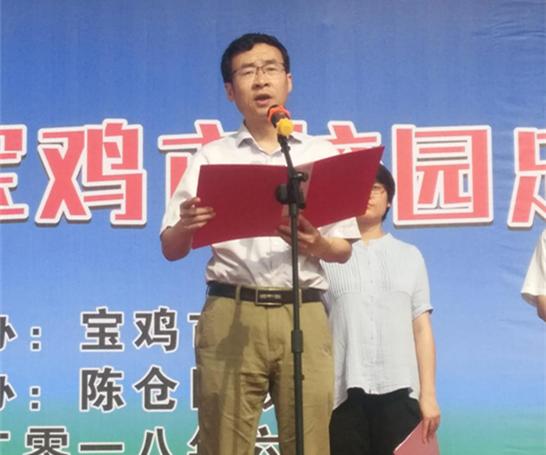 2018年陕西省青少年足球校园联赛,宝鸡市青少年运动会足球