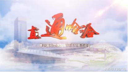主播逛济南,主播逛狗市