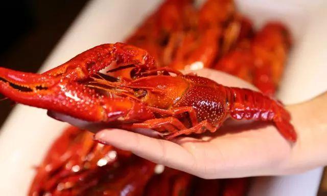 小龙虾产业总产值3690亿元,小龙虾利润为什么这么高