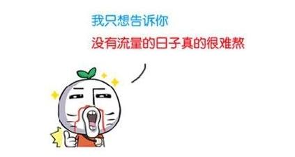 淘宝店铺涨流量方法有哪些,淘宝店铺做好这几点引爆自然流量