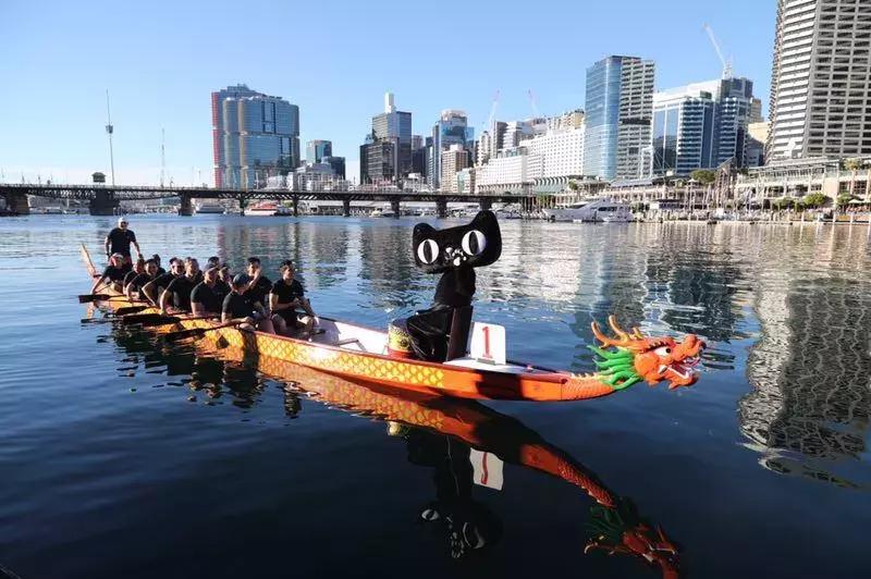 我在悉尼买龙舟，天猫下单解乡愁