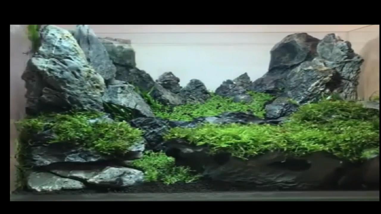 草缸造景以后加水很浑浊,鱼缸造景草缸教程步骤讲解