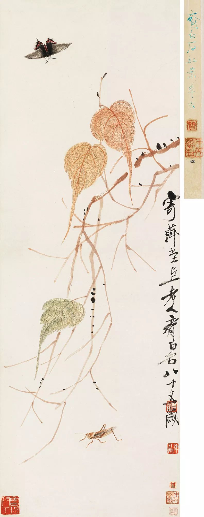 帽哥最新直播回放,帽哥直播回放完整版合集