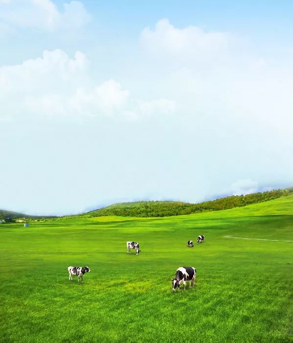 大连富力希尔顿度假酒店,大连希尔顿酒店图片大全