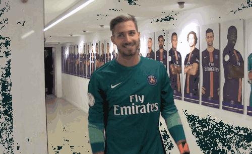 世界杯肉肉的仙人球,世界杯胖嘟嘟