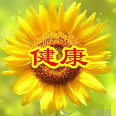 父亲节送给父亲什么花好,父亲节适合给爸爸送什么花