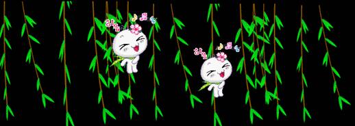 端午节问候网红视频,端午节问候视频