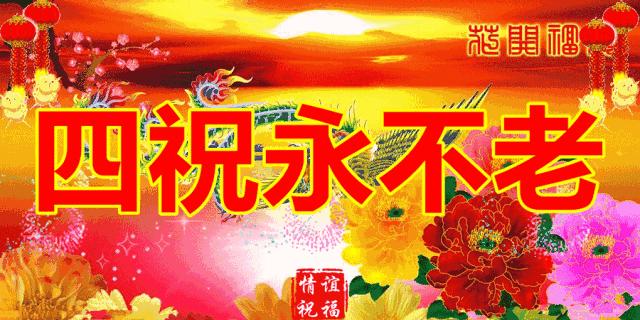 端午节问候网红视频,端午节问候视频