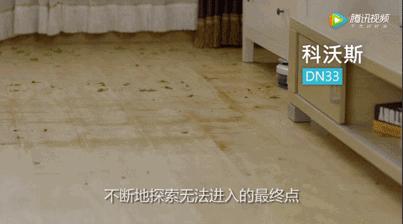 惊了，我妈竟然管一个机器人叫儿子