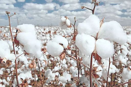 不要脸！还在用干尸毛巾擦脸？