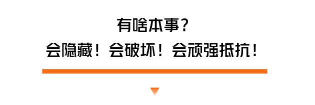 一男子吃月饼吃出寄生虫,诡异事件男人吃虫