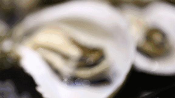 武汉哪里有高逼格又不贵的餐厅,武汉口碑好的性价比高档餐厅