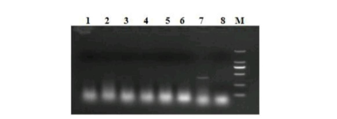 20斤左右的小猪拉稀是什么病,小猪出生几天拉稀死亡是什么原因