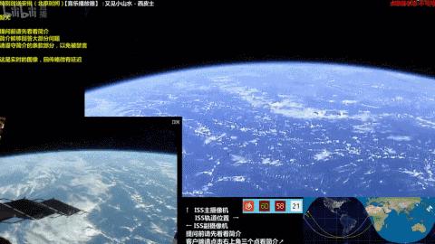 不间断直播180个小时,24小时直播撸猫