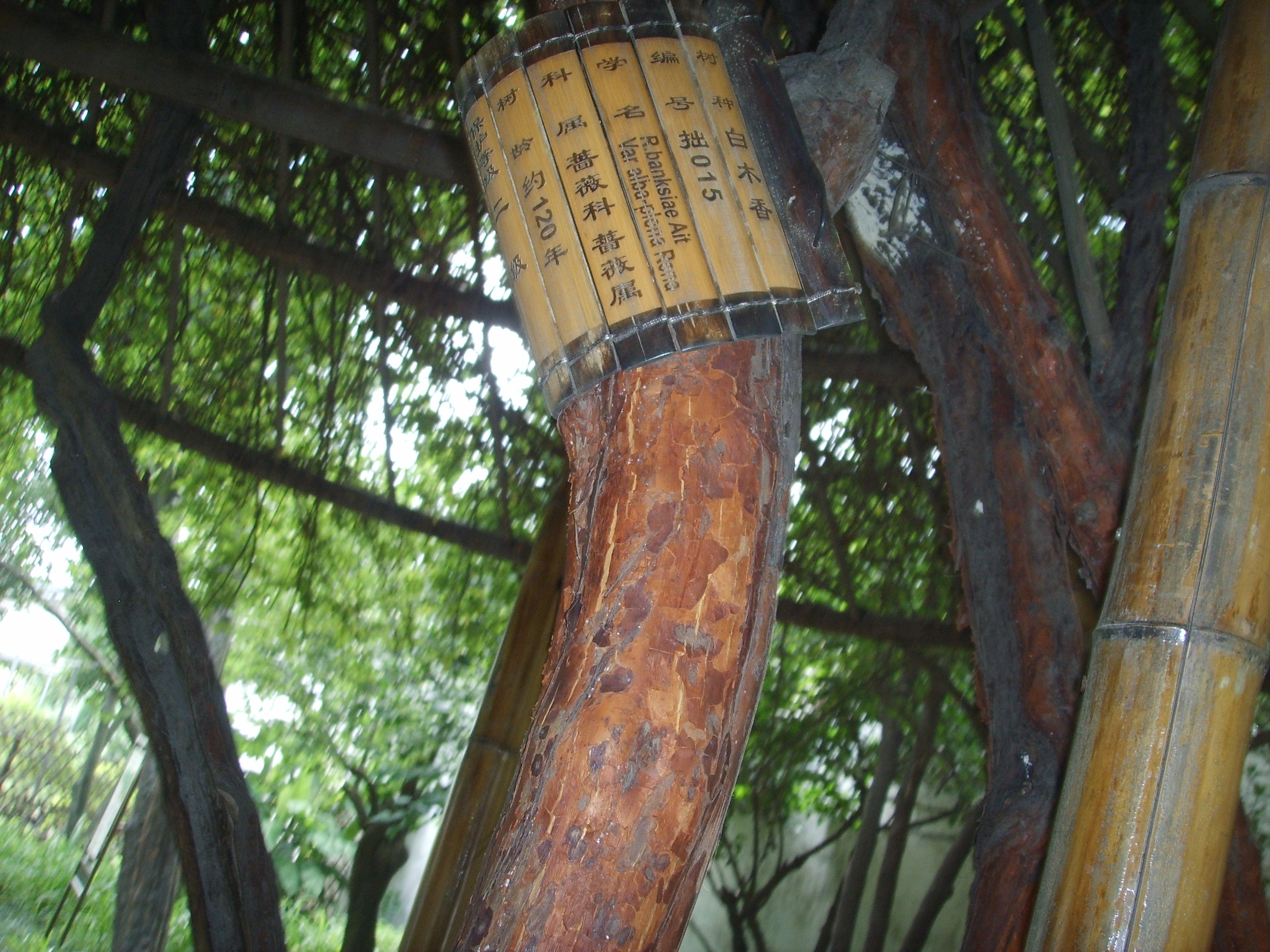 苏州园林的精品拙政园,苏州园林的拙政园故事