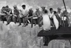 世界杯竞猜停售,几个朋友一起竞猜世界杯违法吗