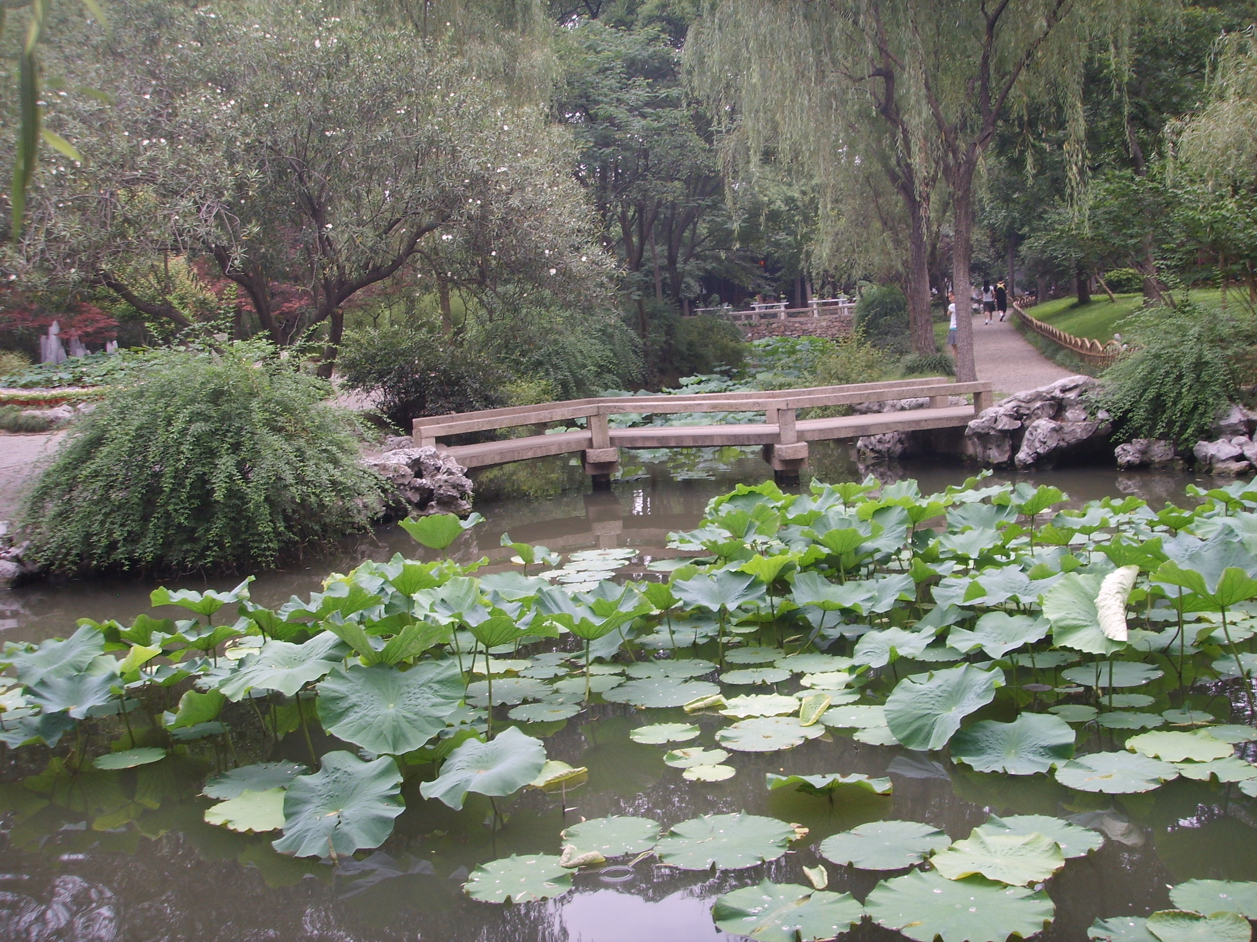 苏州园林的精品拙政园,苏州园林的拙政园故事