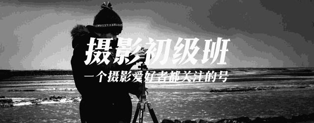 玩摄影必备的3个滤镜,相机微距拍摄模式