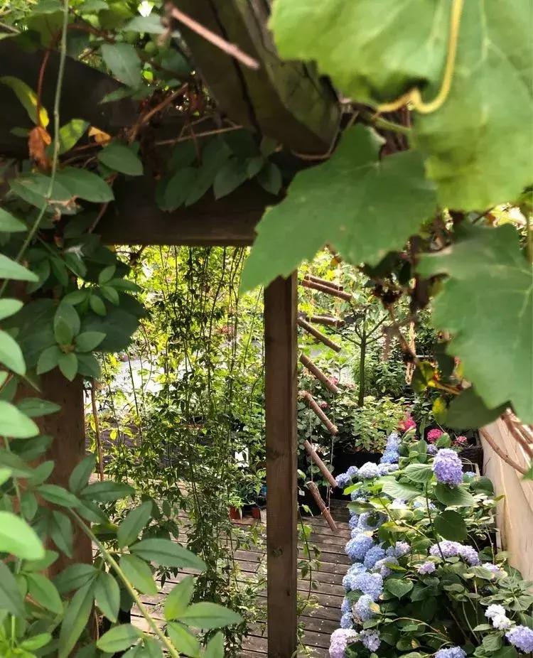 香香的花园自拍杆,香香的花围墙推荐