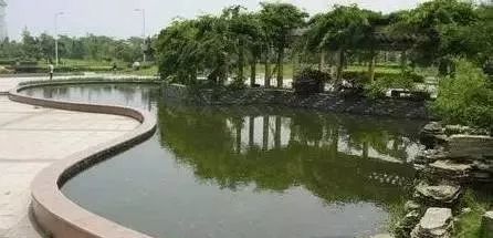 科学撸串｜送你一份夏日户外安全烧烤宝典