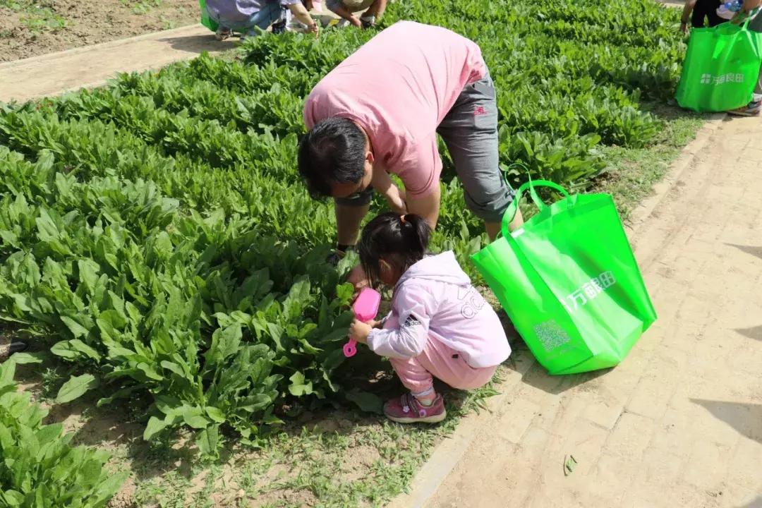 京郊7月采摘好去处,江宁农场采摘一日游