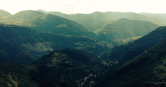 我相貌丑陋却被高冷总裁求婚，婚后被逼喝药才知他真正目的