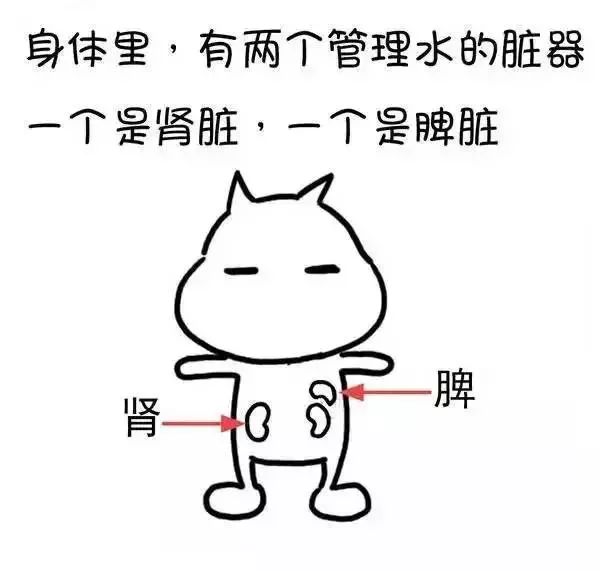 广东人为什么湿气重不能吃辣,广东人喜欢喝汤是因为湿气重