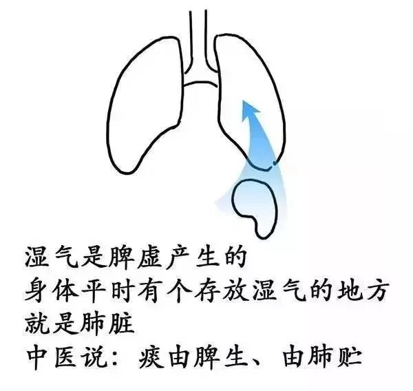 广东人为什么湿气重不能吃辣,广东人喜欢喝汤是因为湿气重