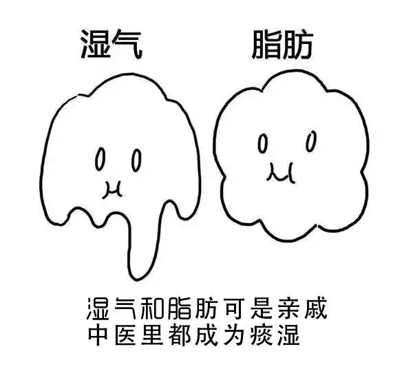 广东人为什么湿气重不能吃辣,广东人喜欢喝汤是因为湿气重