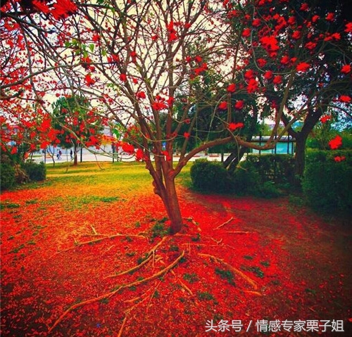 你们这些女人那，发了花痴就治不好