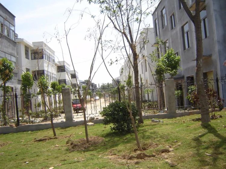 热闹的农村小院,八十年代农村集市