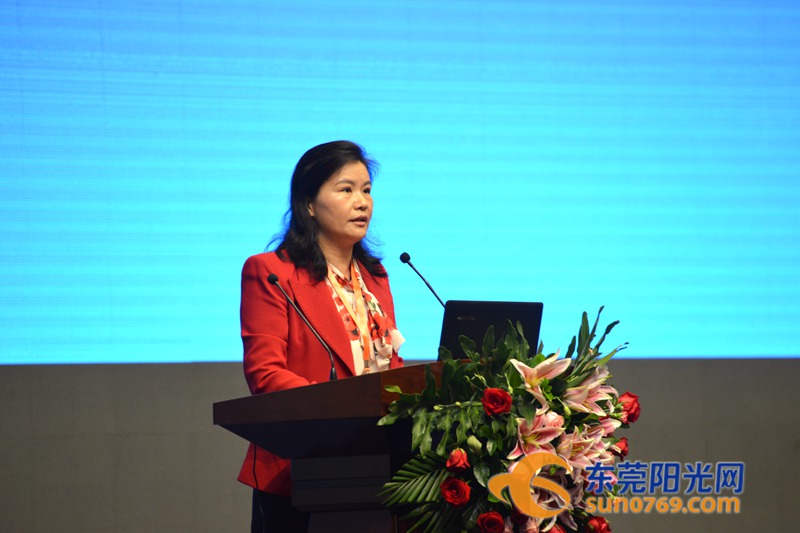 东莞招商引资大会,东莞产业招商引资项目