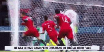 世界杯辟谣真的假的,世界杯12个谣言是真的吗