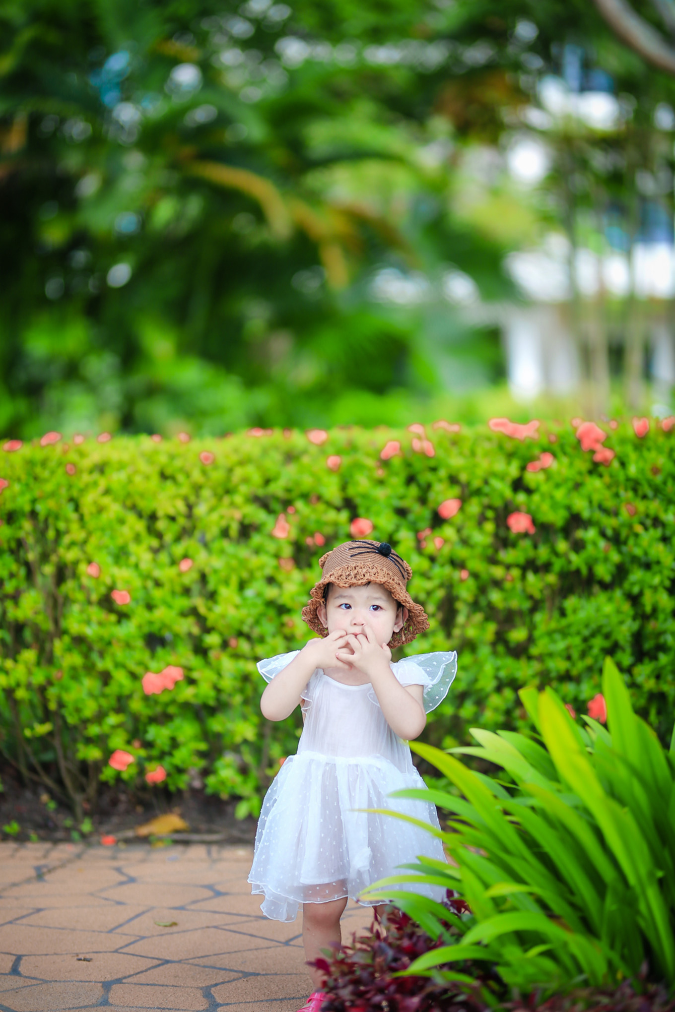 新加坡马来西亚亲子游攻略,马来西亚亲子游自由行旅游攻略