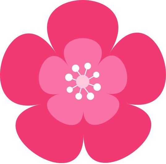 妇联举办广场舞展演,妇联走秀比赛流程