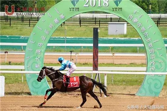 2018伊泰大漠马业系列纯血速度赛马赛事“鄂尔多斯金杯”圆满举办