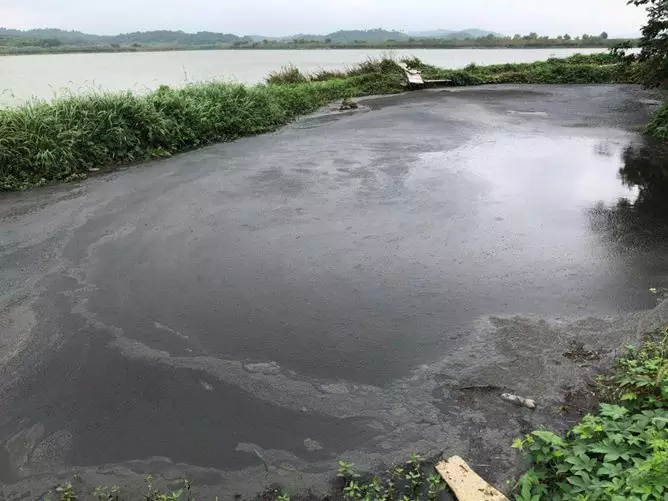 都昌环保问题,九江环境整治