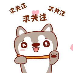 厦门月薪达到多少才有幸福感,厦门月薪一万是什么感觉