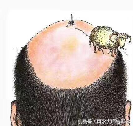 面相术基础知识讲解,面相学的重点知识点