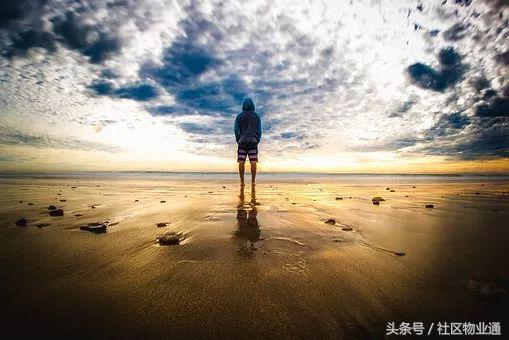 物业经营故事12章,物业经营故事50篇