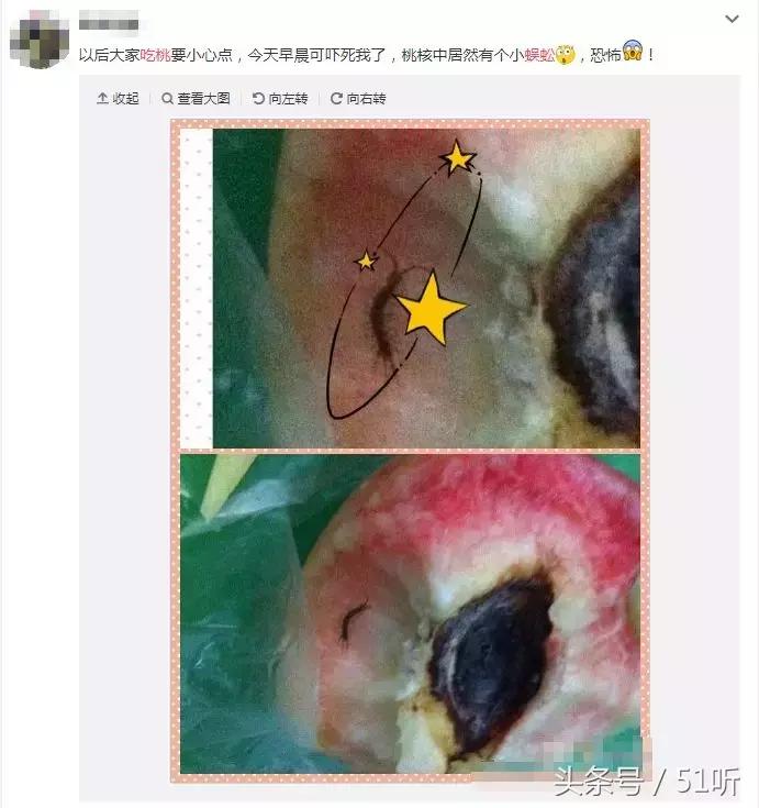 吃桃吃出蚂蚁窝,吃桃被蜈蚣咬视频