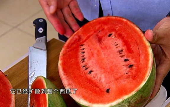 西瓜很红是打了催红素吗,特别甜的西瓜是不是打了药