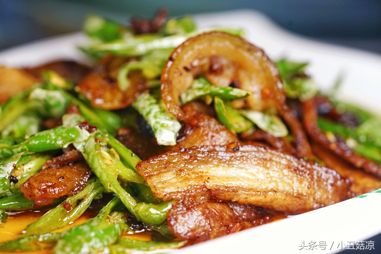 前方高能！疯狂动物城有猛兽出没，请保管好自己的小心脏！