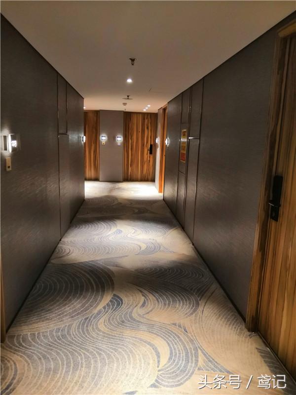 美女试睡员“潜入”潍坊鸢飞大酒店，发现了众多秘密！