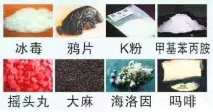 远离毒品从预防滥用开始,禁毒知识讲座如何预防吸毒