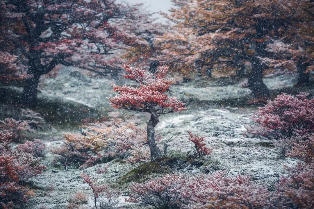 上半年大片推荐,2018旅行大片