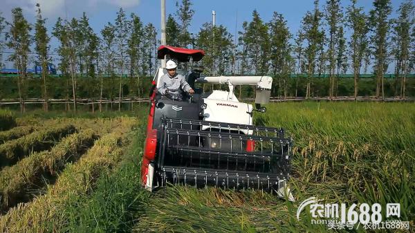 三夏抢收选它——详解洋马新品YH1180收获机