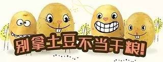 土豆粉的前世今生,当代土豆粉