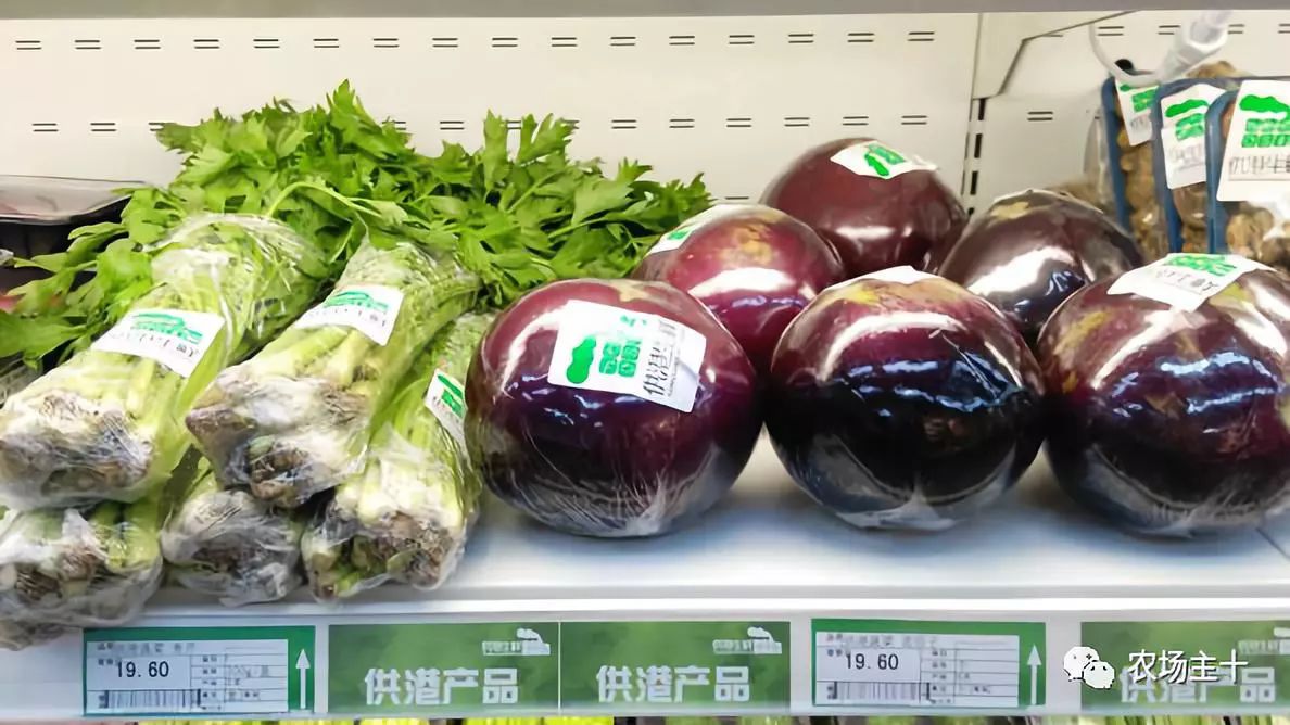 供港基地蔬菜真的好吗 (供港蔬菜要什么条件)
