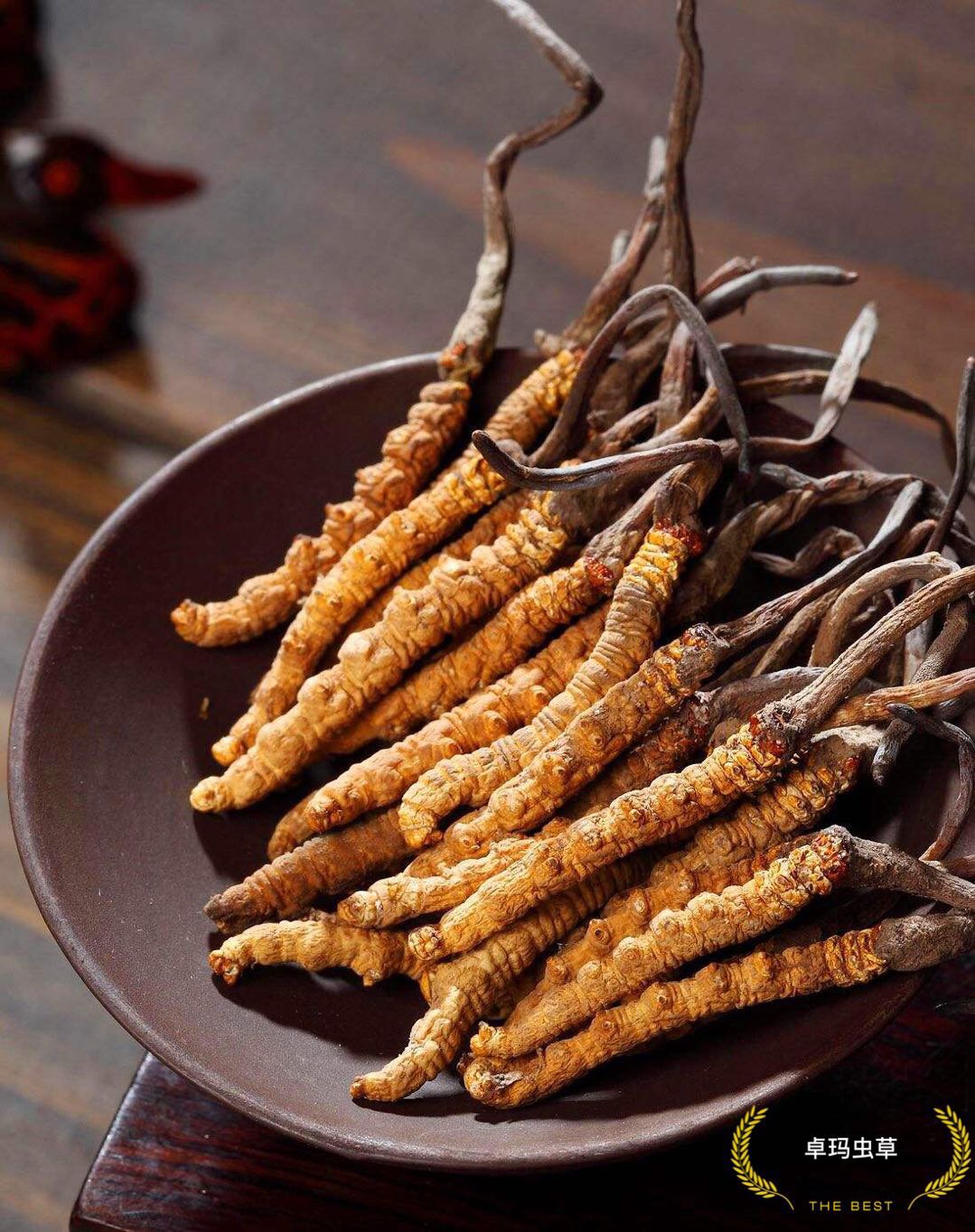 冬虫夏草补肾,冬虫夏草补肾益肺功效